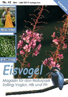 Eisvogel-Magazin Nr. 42 - Mai-Juni 2013